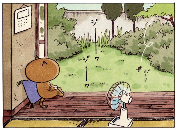 ミィちゃんの部屋 どうも ミィちゃんです ウェブマガジン あき地 ミィちゃんの部屋 どうも ミィちゃんです ウェブマガジン あき地