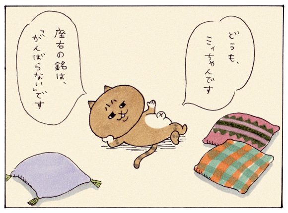 ミィちゃんの部屋 どうも ミィちゃんです ウェブマガジン あき地 ミィちゃんの部屋 どうも ミィちゃんです ウェブマガジン あき地