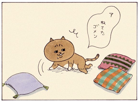 ミィちゃんの部屋 どうも ミィちゃんです ウェブマガジン あき地 ミィちゃんの部屋 どうも ミィちゃんです ウェブマガジン あき地