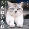 おるねおるね